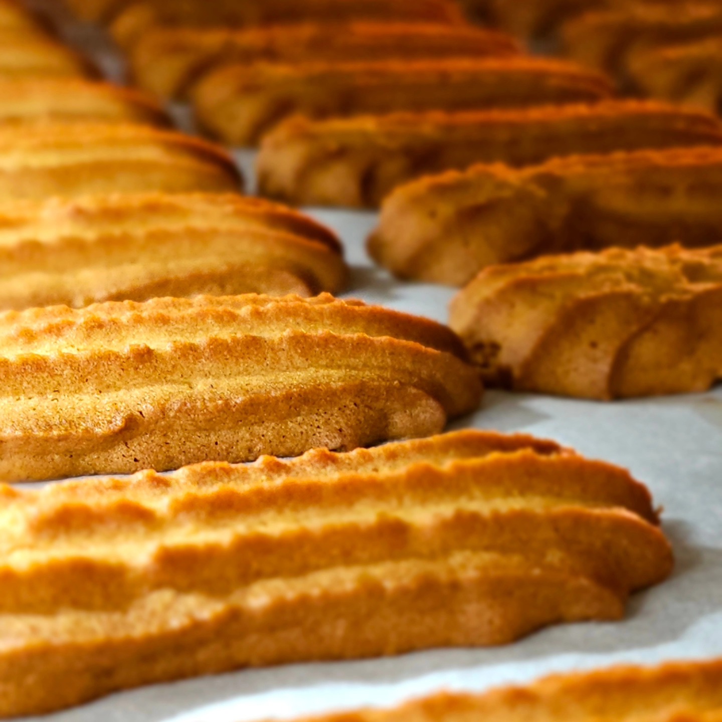 Freshly baked golden biscuits cooling on a tray